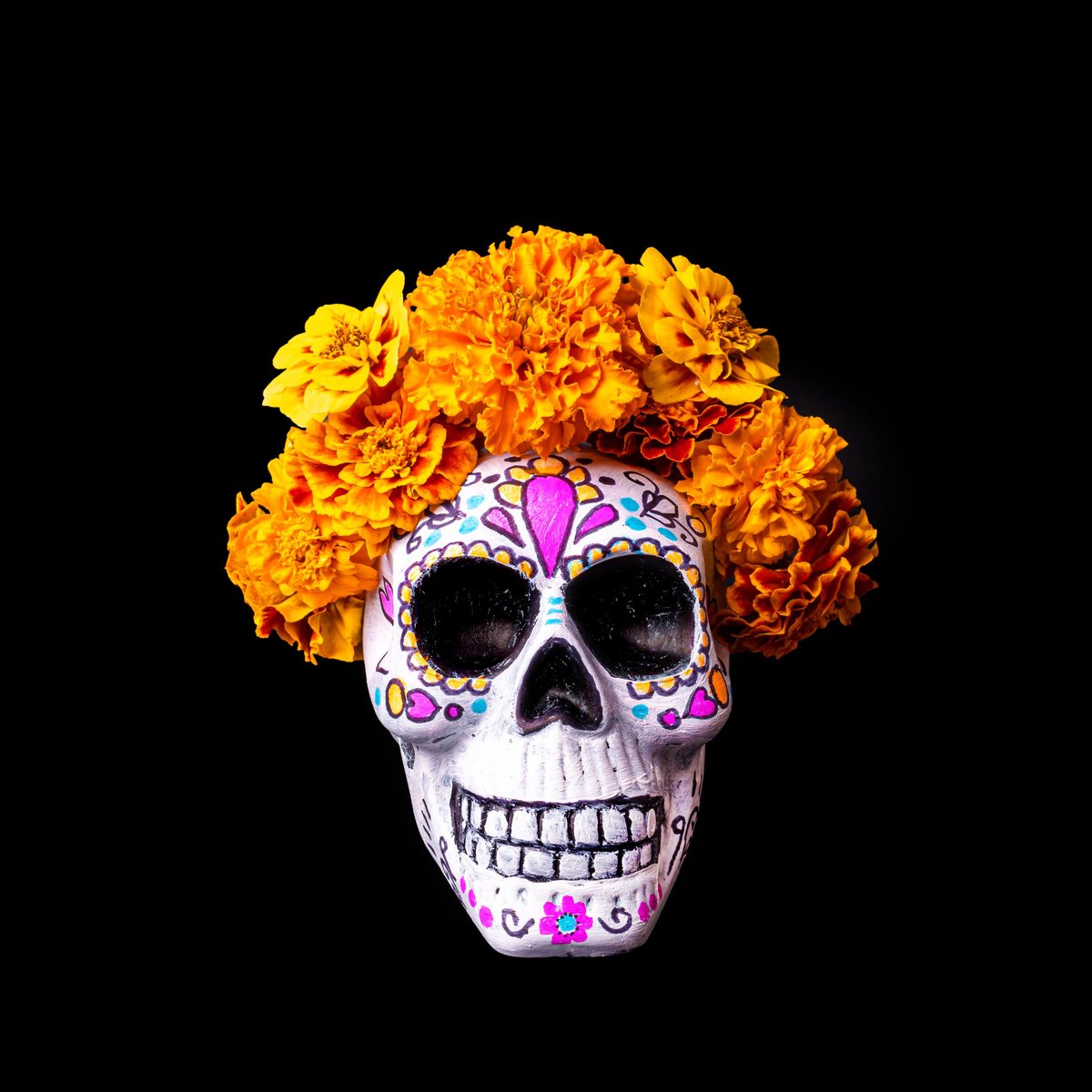 Painted sugar skull for Day of the Dead celebration wreathed in vibrant marigold flowers