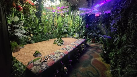 Indoor tropical exhibit with lush green vegetation, sandy ground, purple ambient lighting, and a water feature with a crocodile