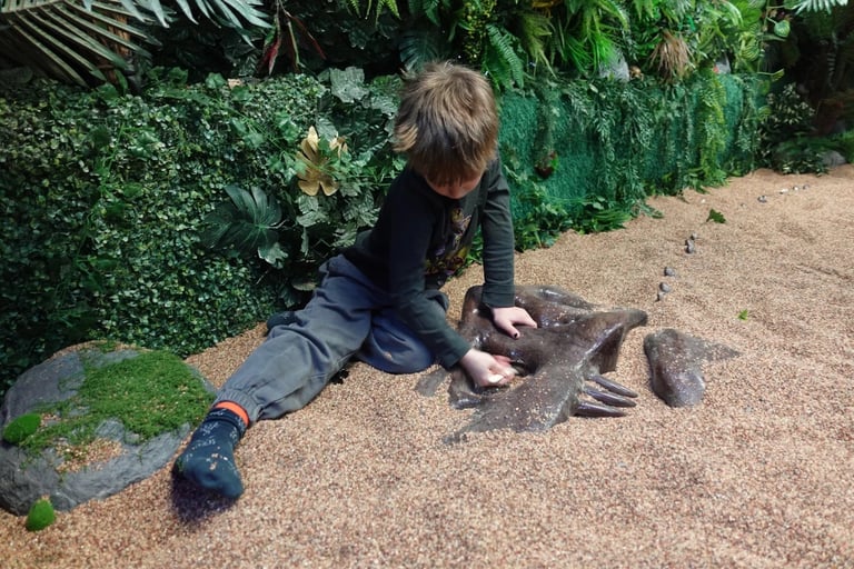 Child playing in sandbox exploring shells and marine objects with lush green plants and hedge in background